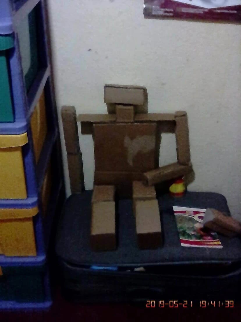 Genesis of a Dream: My First Robot